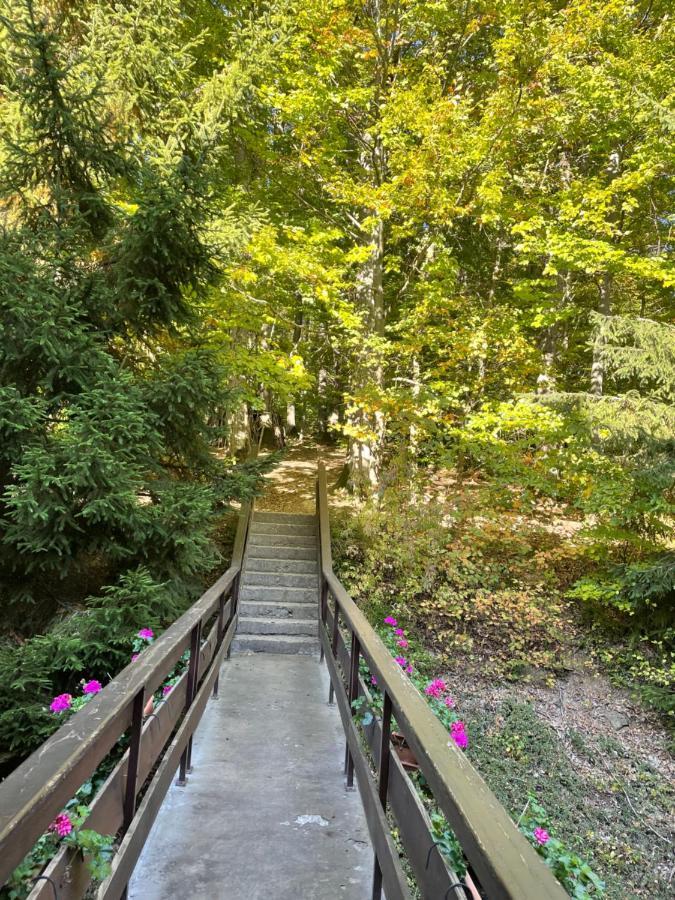 Charmant Studio En Pleine Nature 克林根塔尔 外观 照片